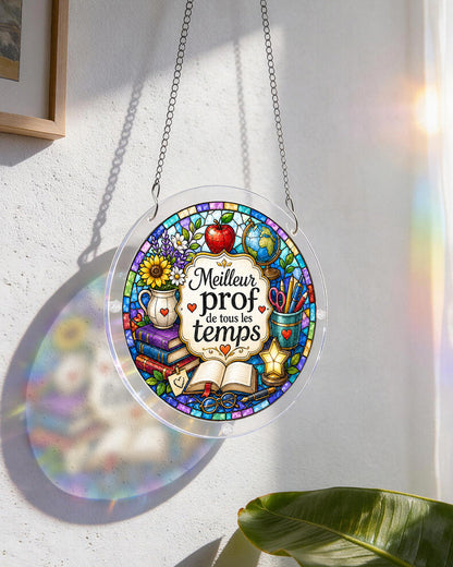 FR Male Teacher - Acrylic Window Suncatcher