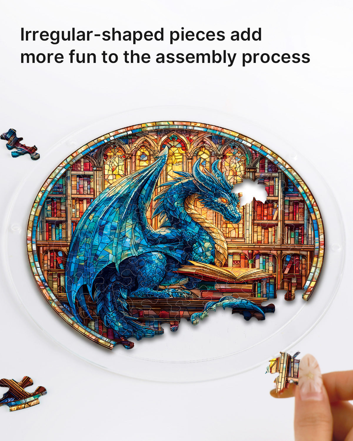 The Blue Dragon Library - Acrylic Window Suncatcher