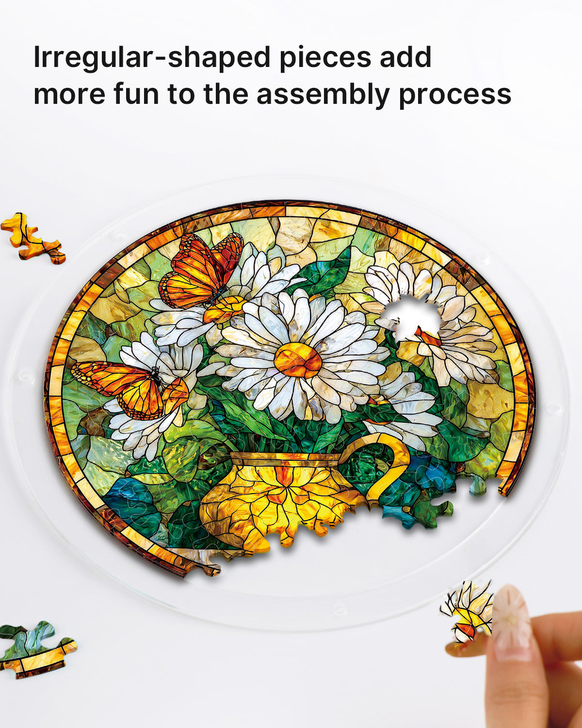 Daisy Butterfly Garden - Acrylic Window Suncatcher
