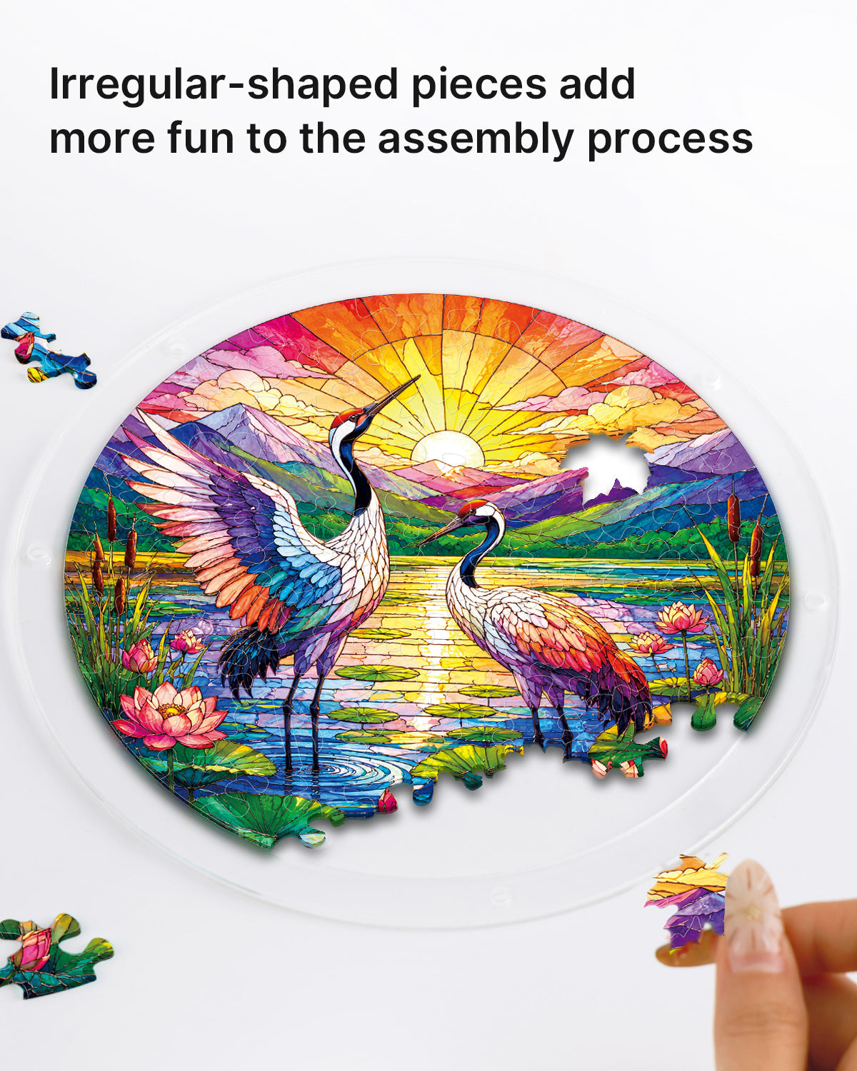 Cranes at Sunrise - Acrylic Window Suncatcher