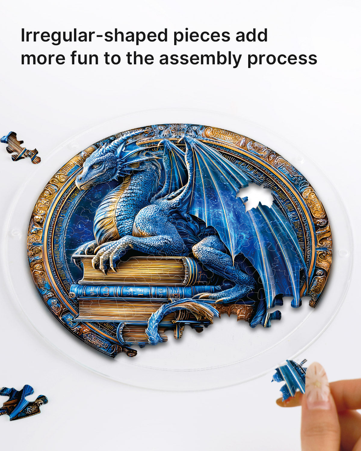 Dragon Realm Library - Acrylic Window Suncatcher
