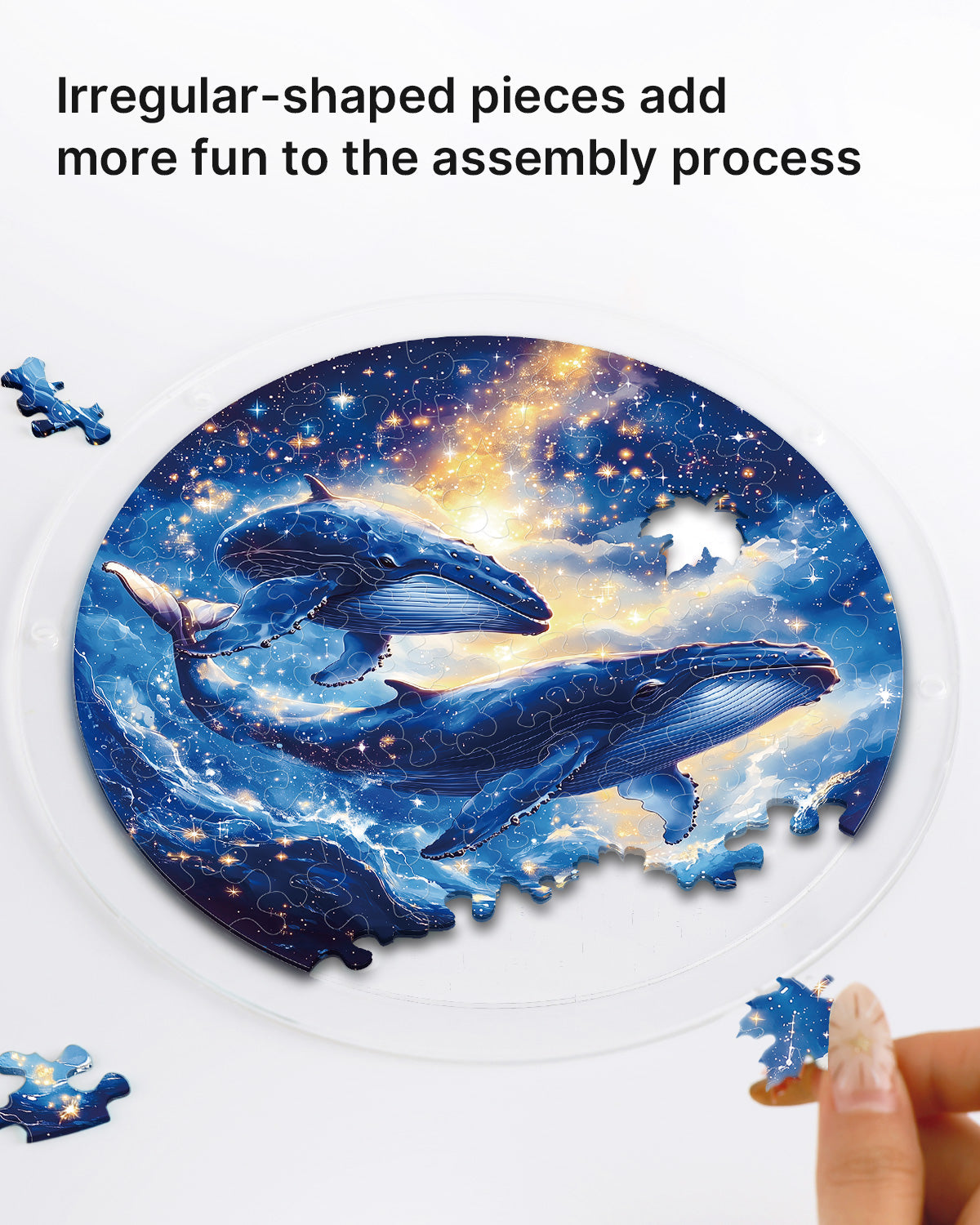 Twin Whales of the Cosmos - Acrylic Window Suncatcher