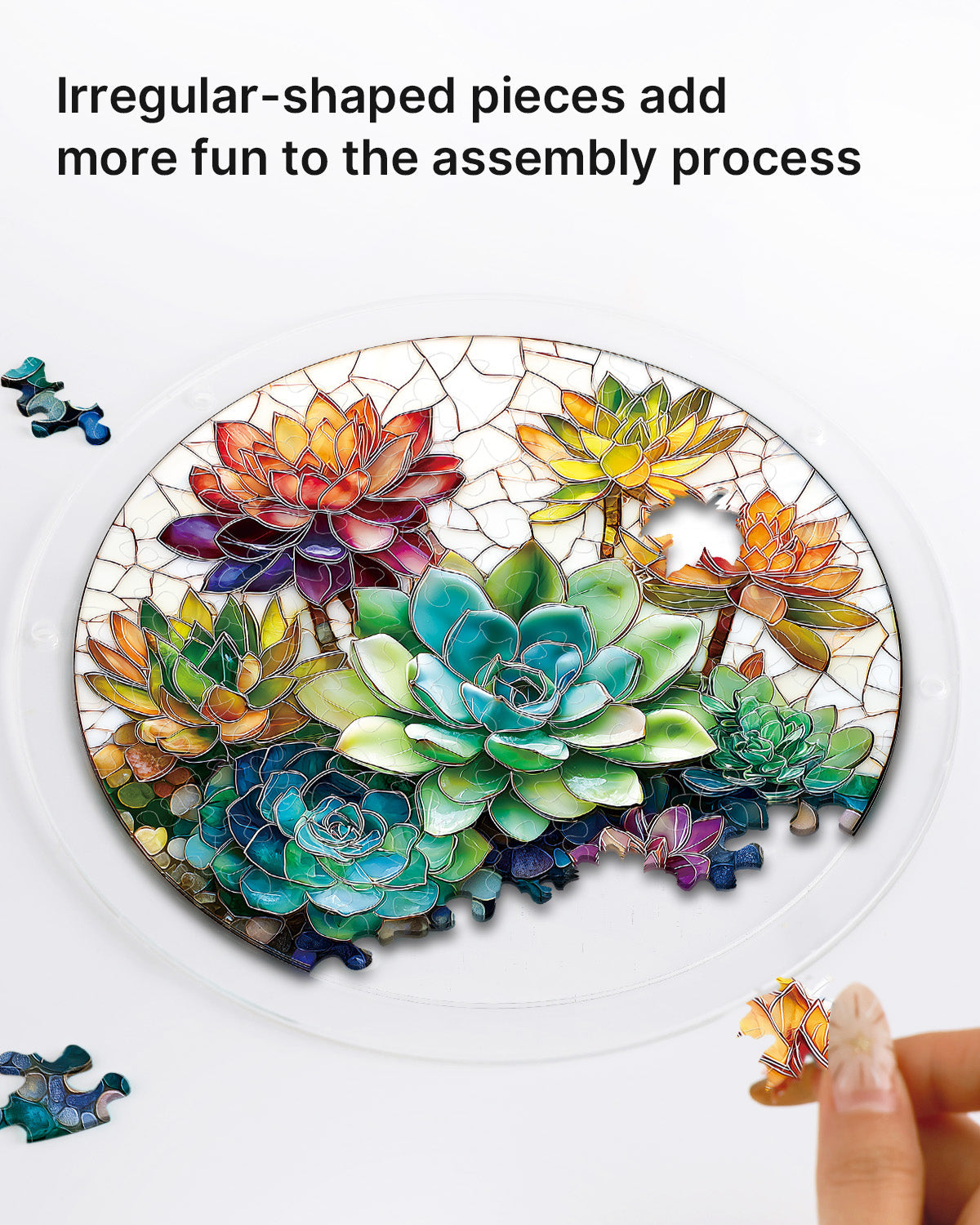 Dreamy Succulent Garden - Acrylic Window Suncatcher