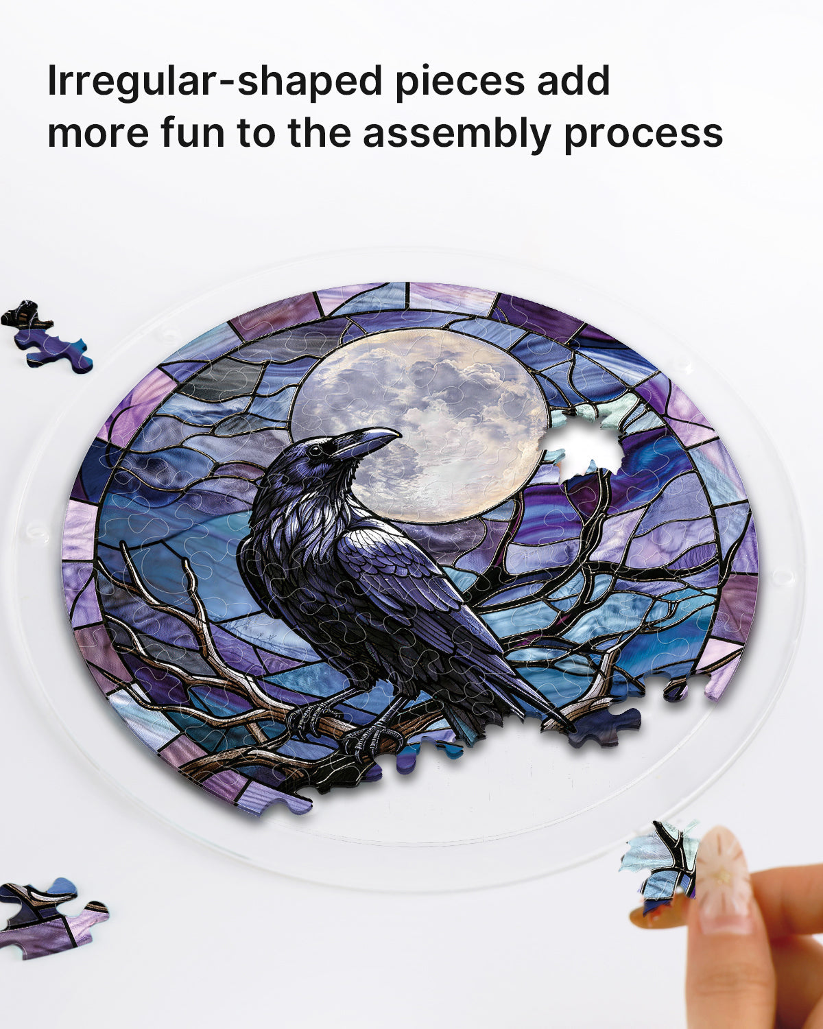Moonlit Raven - Acrylic Window Suncatcher