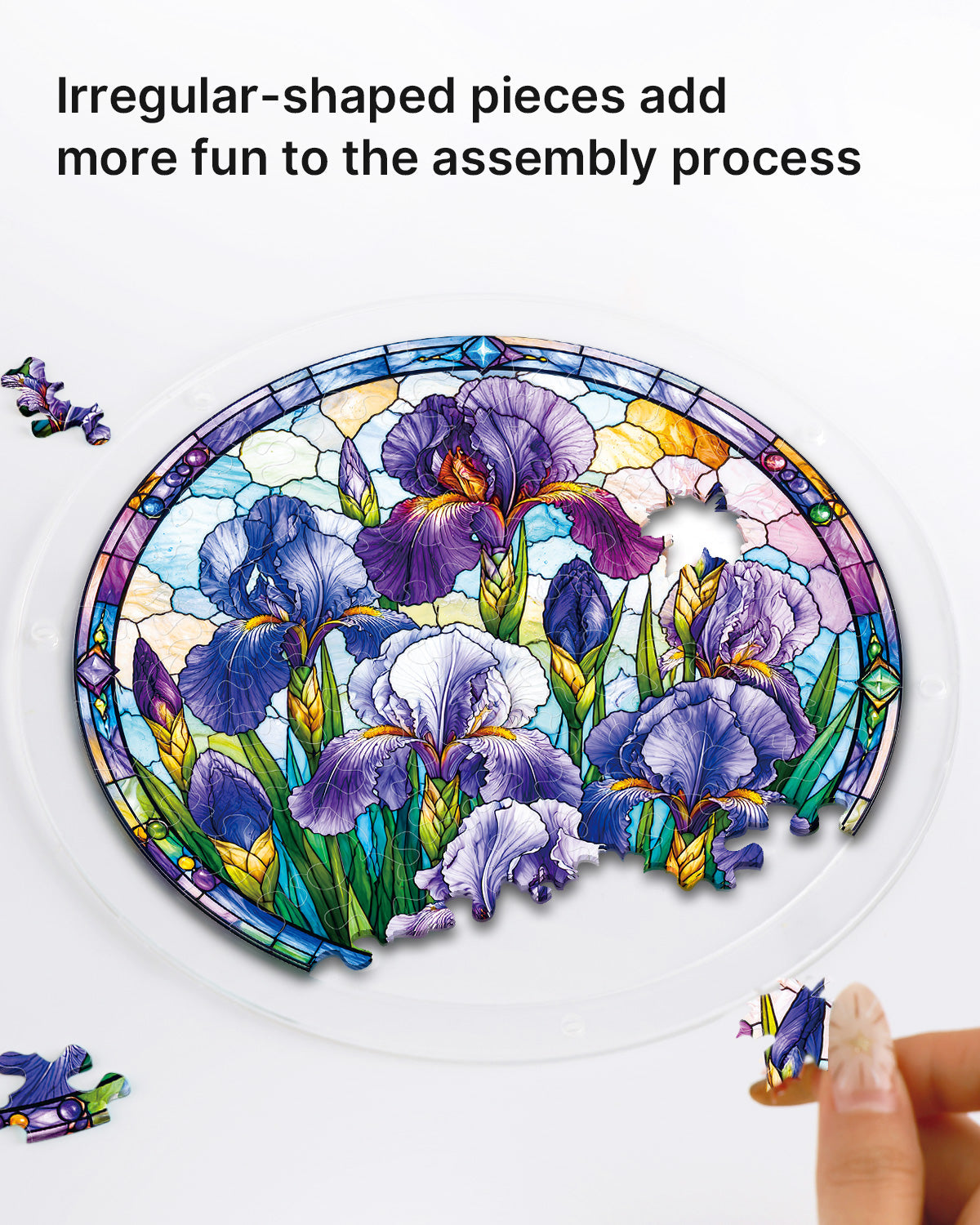Iris Morning Light - Acrylic Window Suncatcher