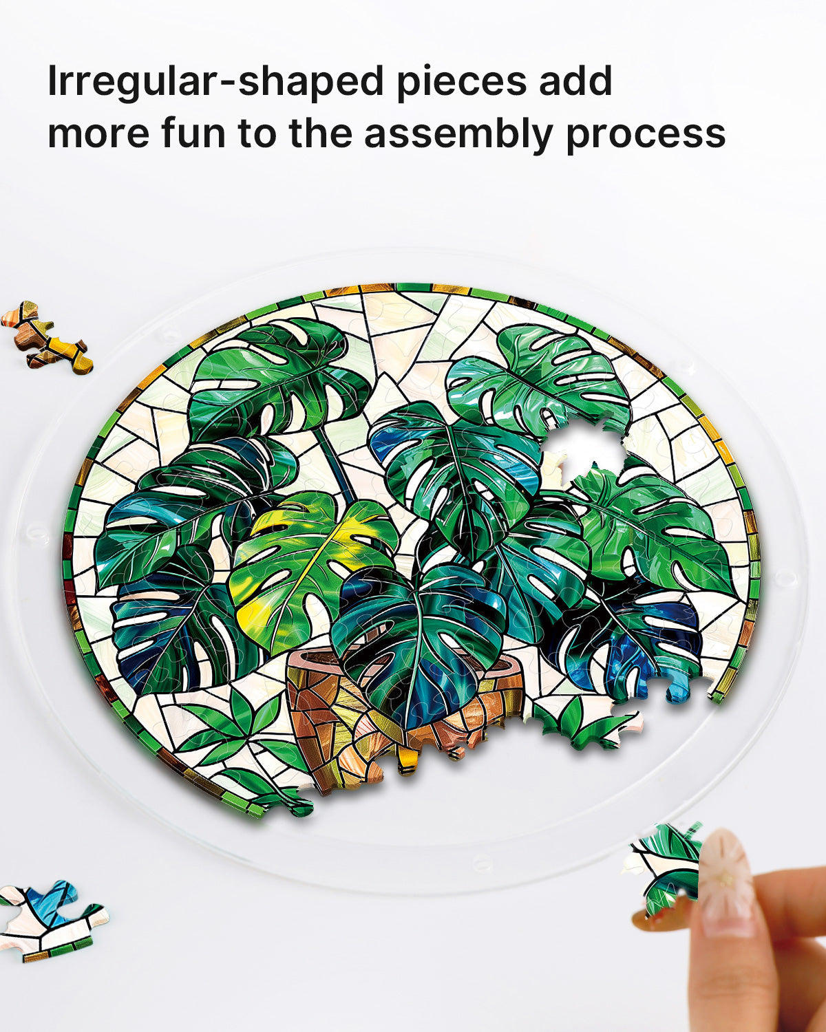 Monstera Greenery - Acrylic Window Suncatcher