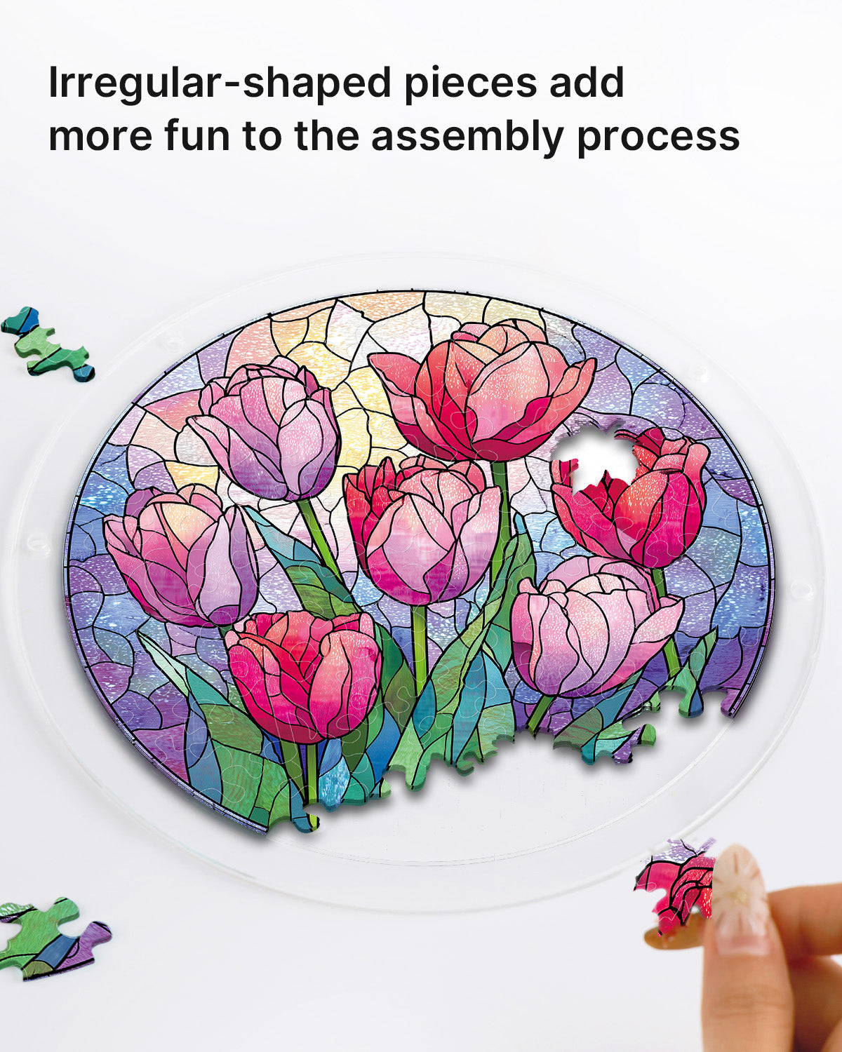 Morning Glow Tulips - Acrylic Window Suncatcher