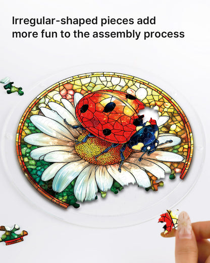 Ladybug on Daisy - Acrylic Window Suncatcher