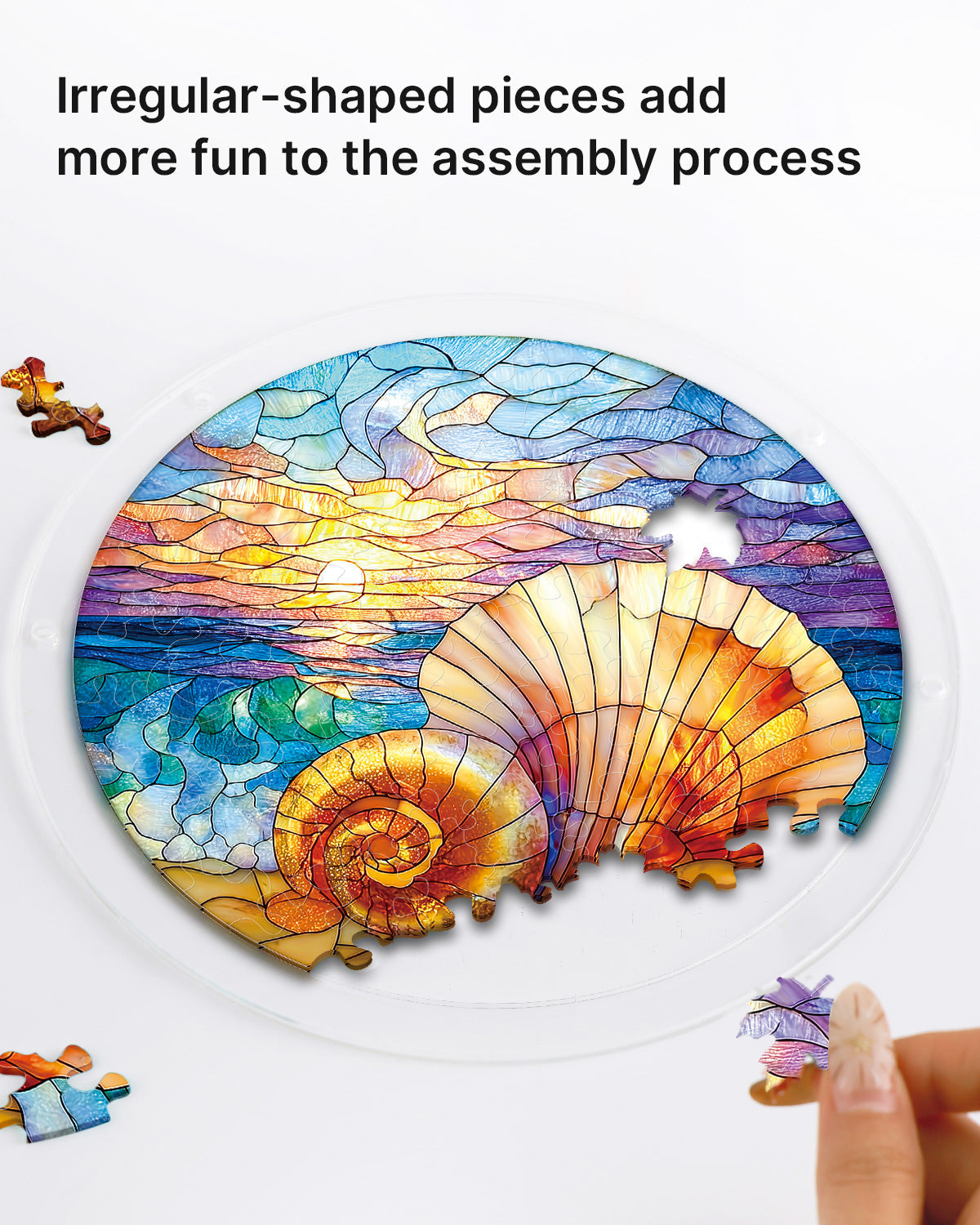Ocean Echo Shell - Acrylic Window Suncatcher