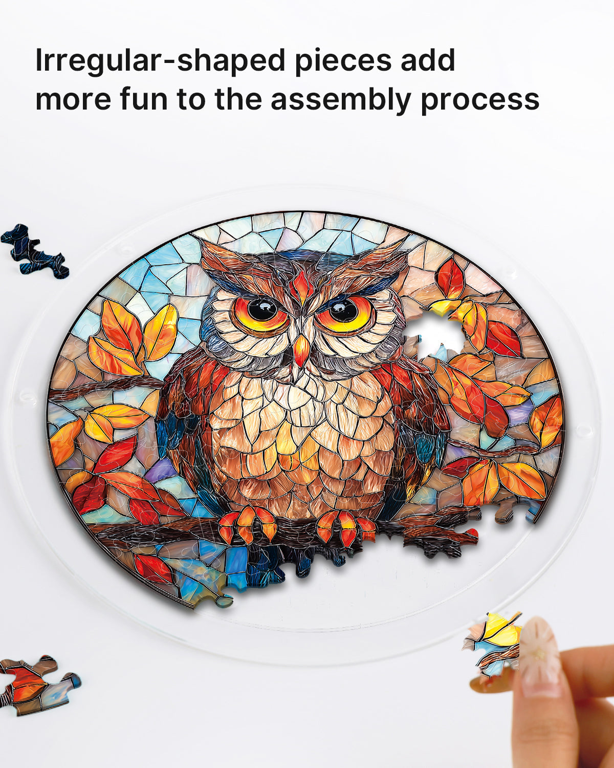 Autumn Owl - Acrylic Window Suncatcher