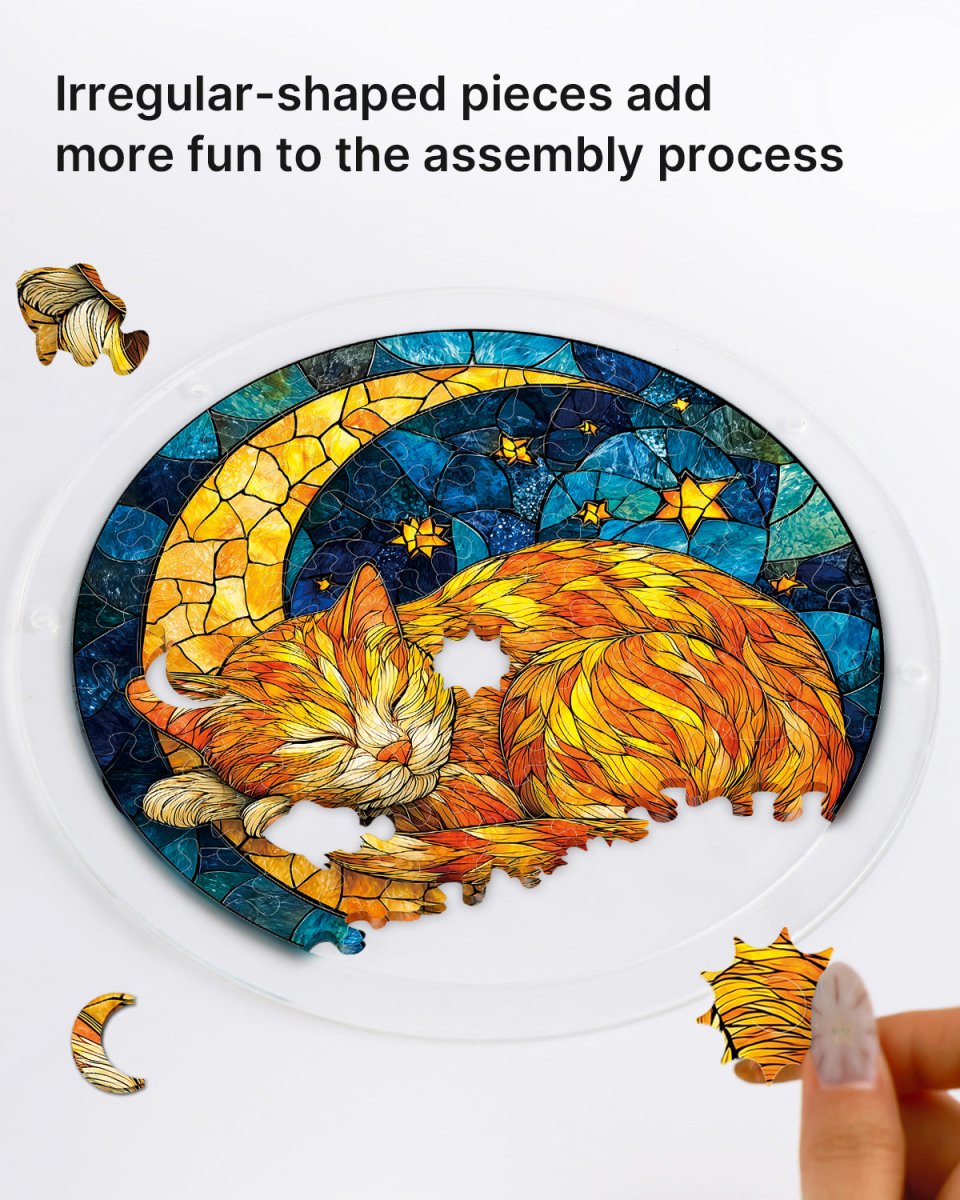 Starry Moon Cat - Acrylic Window Suncatcher
